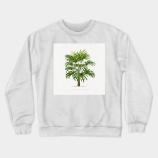 8 Les Palmiers Histoire Crewneck Sweatshirt